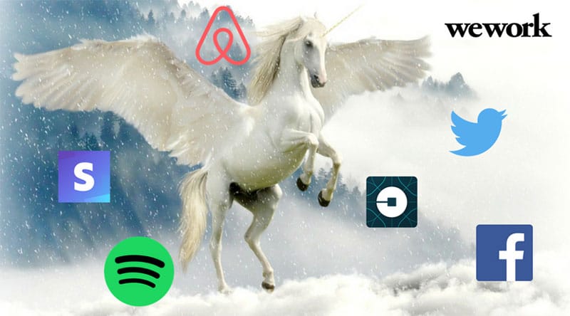 Huyền Thoại Unicorn: Nhà Đầu Tư Ưa Startup Bền Vững