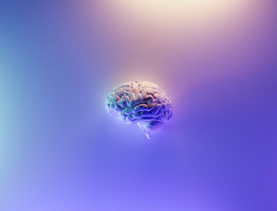 AI Thay Đổi Quy Trình Thẩm Định Startup Như Thế Nào?